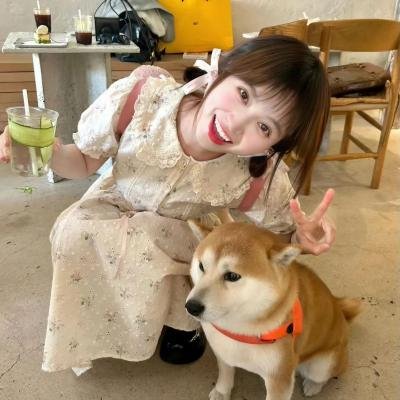 二八佳人花公子